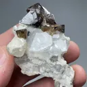 Scheelite with Quartz, Calcite - image 2
