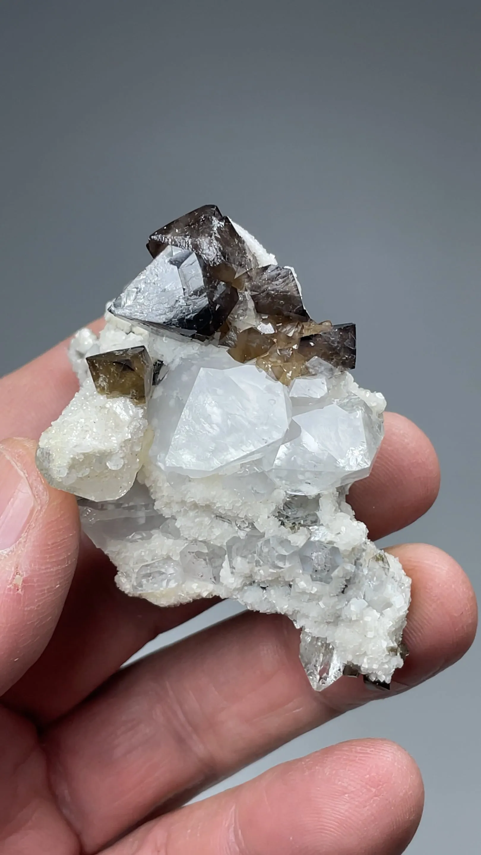 Scheelite with Quartz, Calcite - image 2