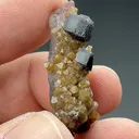Scheelite with Quartz, Fluorite - image 2