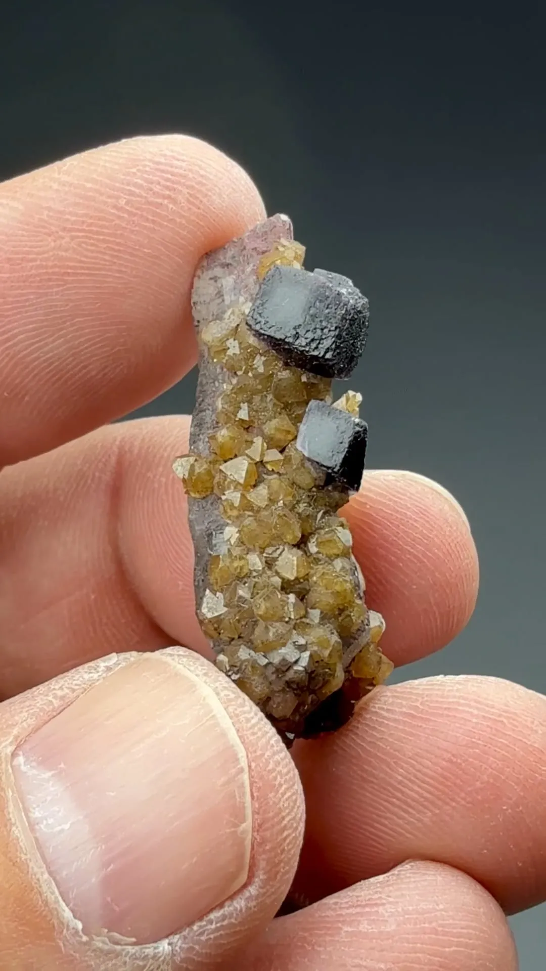 Scheelite with Quartz, Fluorite - image 2