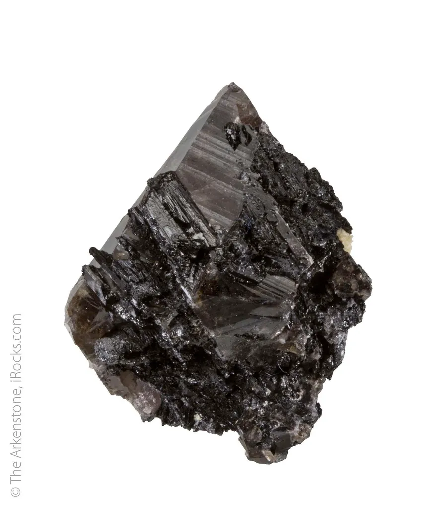 Scheelite with Wolframite image