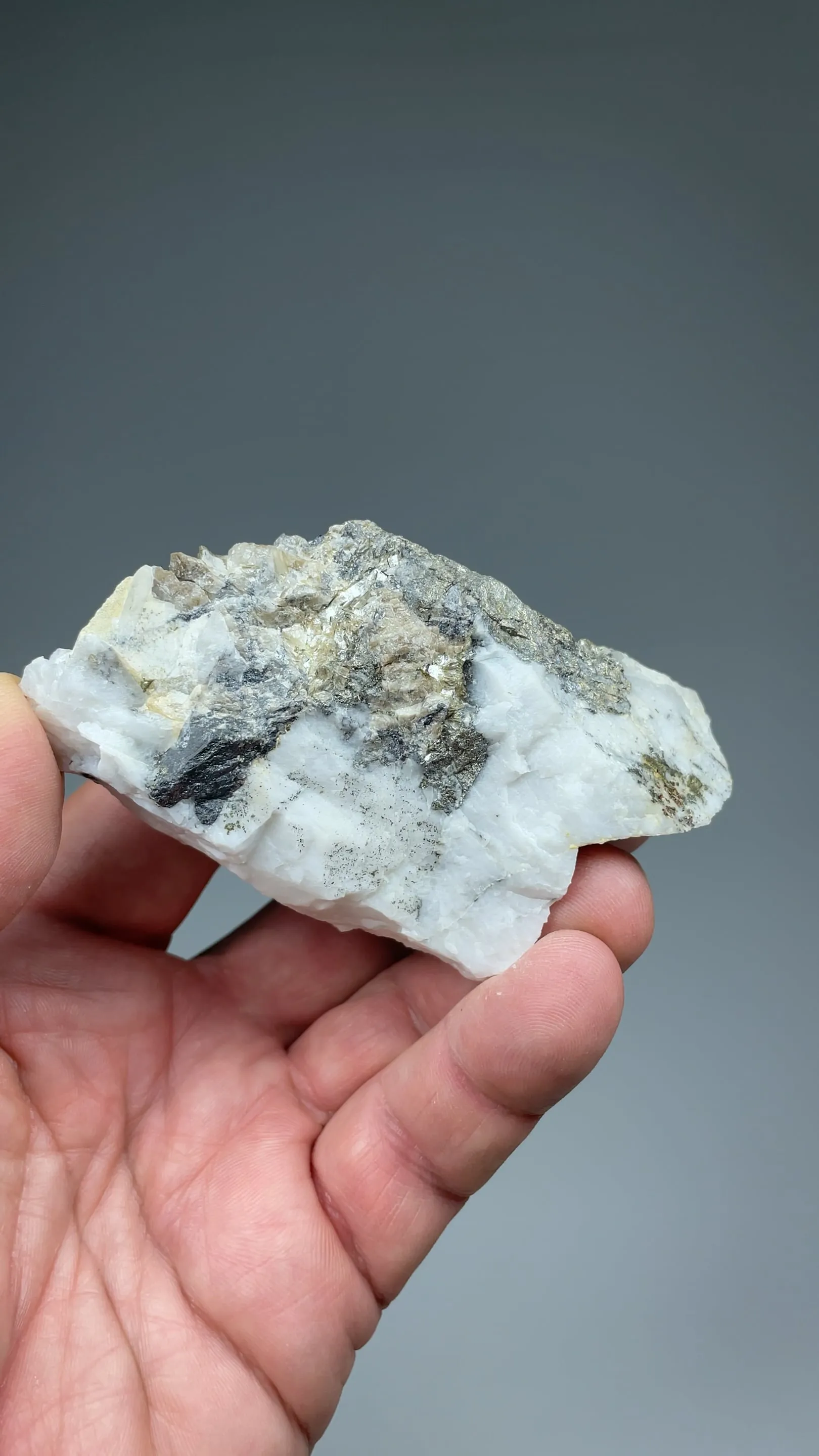 Scheelite with Wolframite, Arsenopyrite - image 3