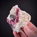 Schiavinatoite (type locality) with Liddicoatite, Microcline, Quartz - image 2