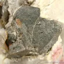 Schiavinatoite Xls to 2 Cm (New Species, 1999) - image 2