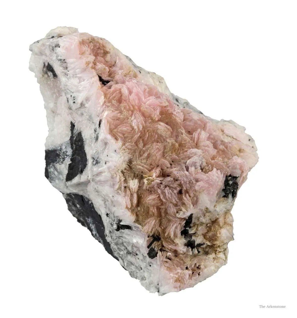 Schizolite & Aegirine - image 4