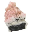 Schizolite & Aegirine - image 3