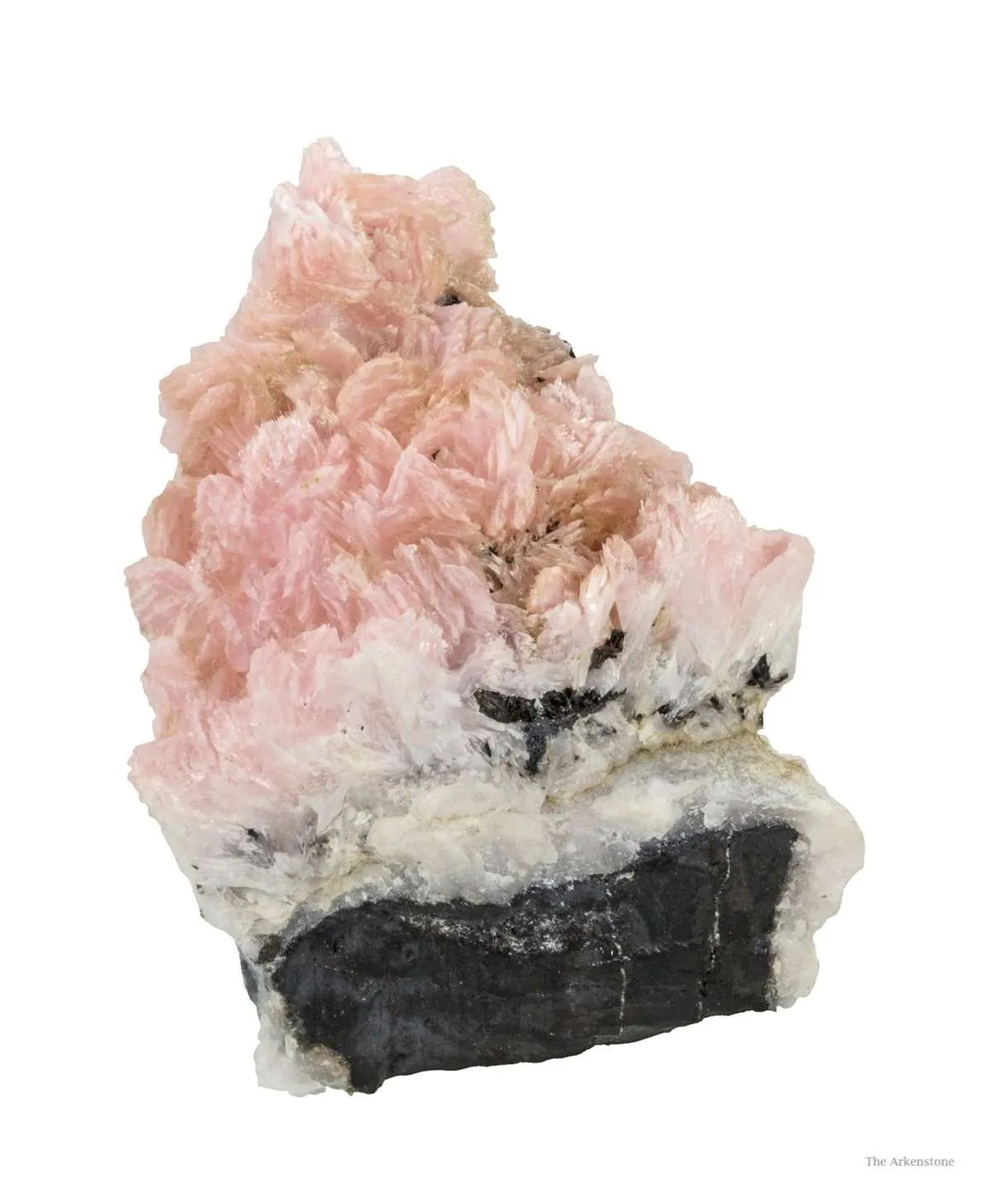 Schizolite & Aegirine - image 3