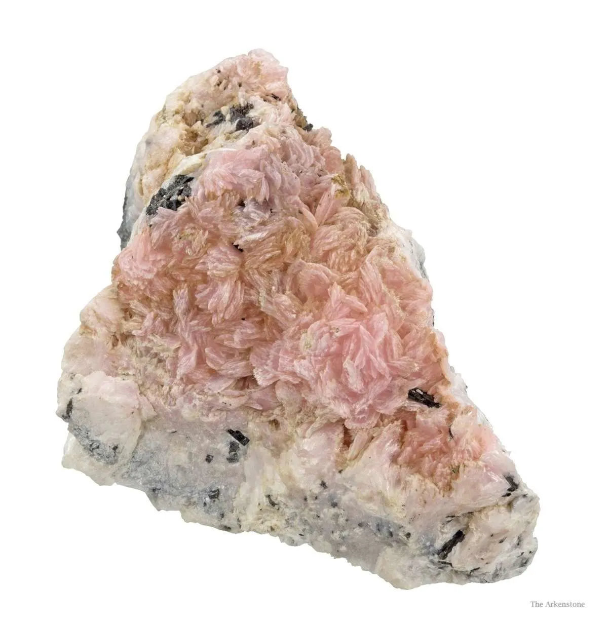 Schizolite & Aegirine - image 5