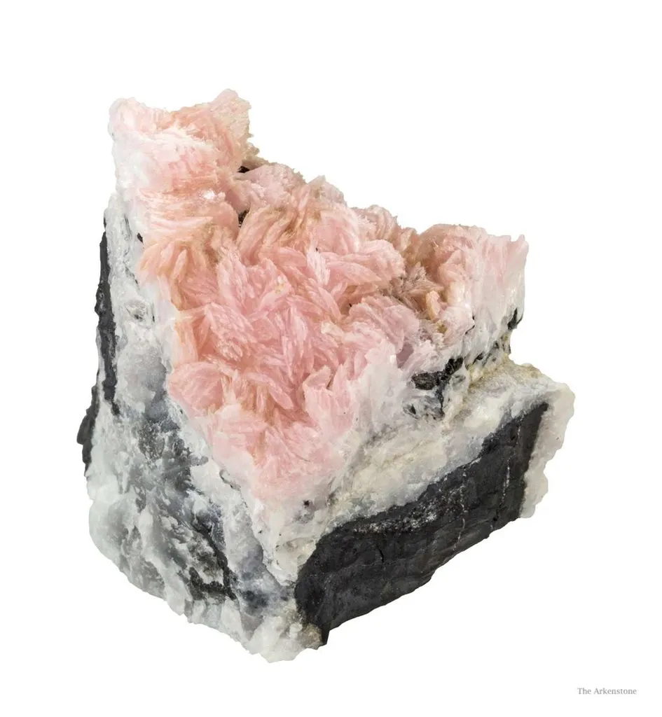 Schizolite & Aegirine image