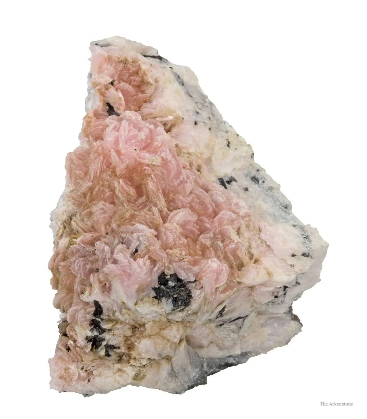 Schizolite & Aegirine - image 2