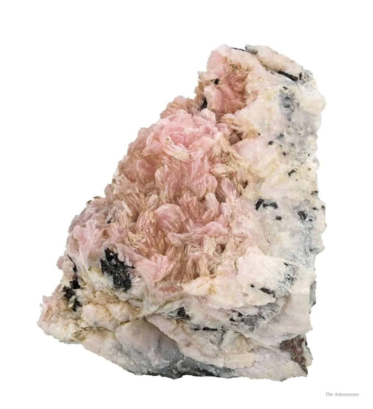 Schizolite & Aegirine - image 3