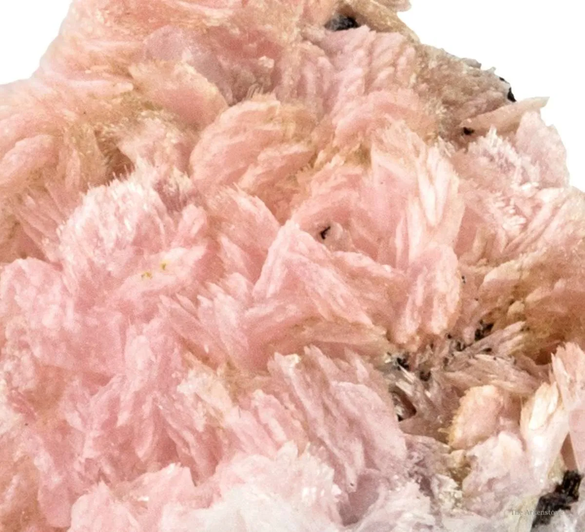 Schizolite & Aegirine - image 2