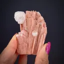 Schizolite (formerly Serandite) with Analcime - image 1