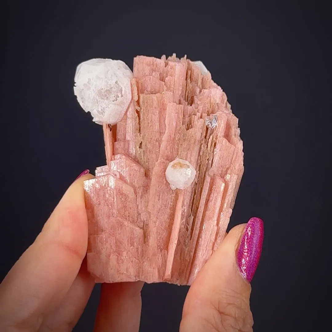 Schizolite (formerly Serandite) with Analcime - image 1