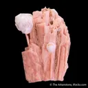 Schizolite (formerly Serandite) with Analcime - image 4