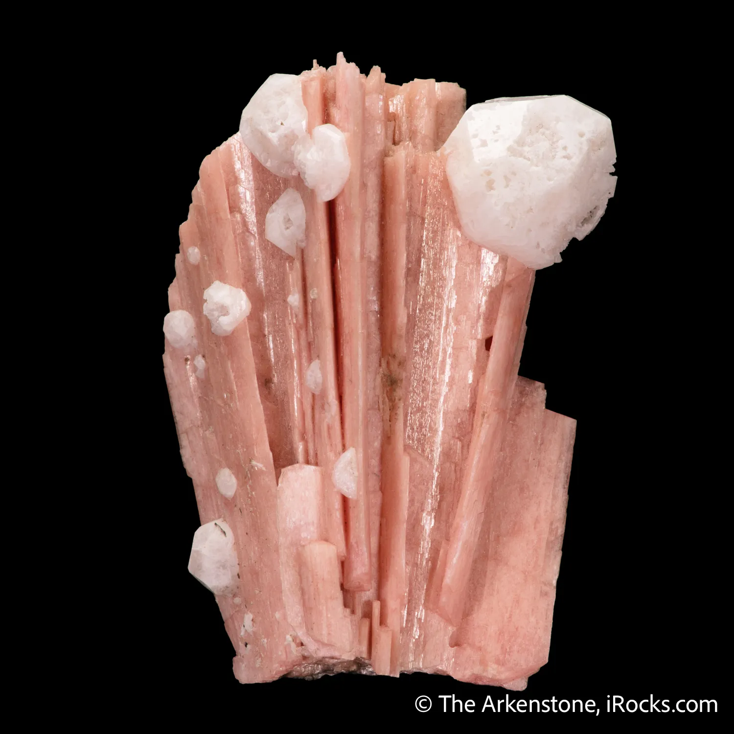 Schizolite (formerly Serandite) with Analcime - image 3