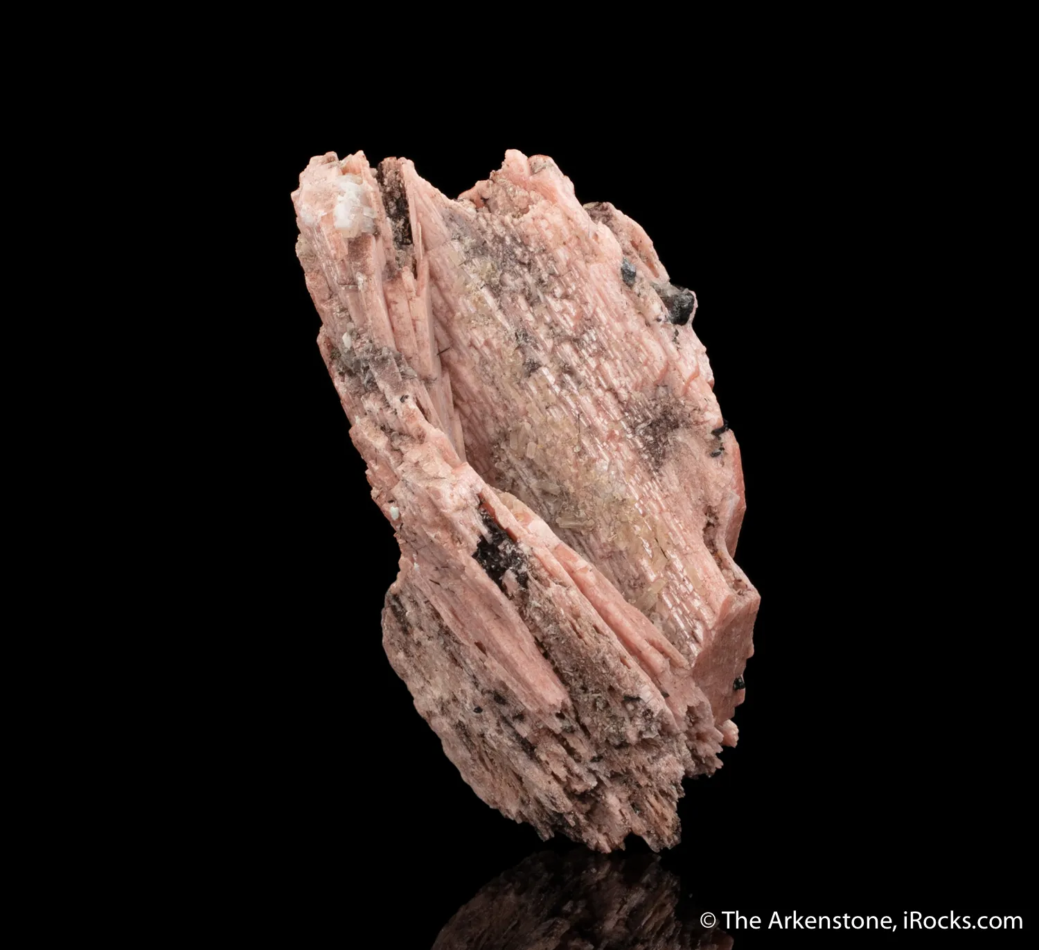 Schizolite with Aegirine - image 5