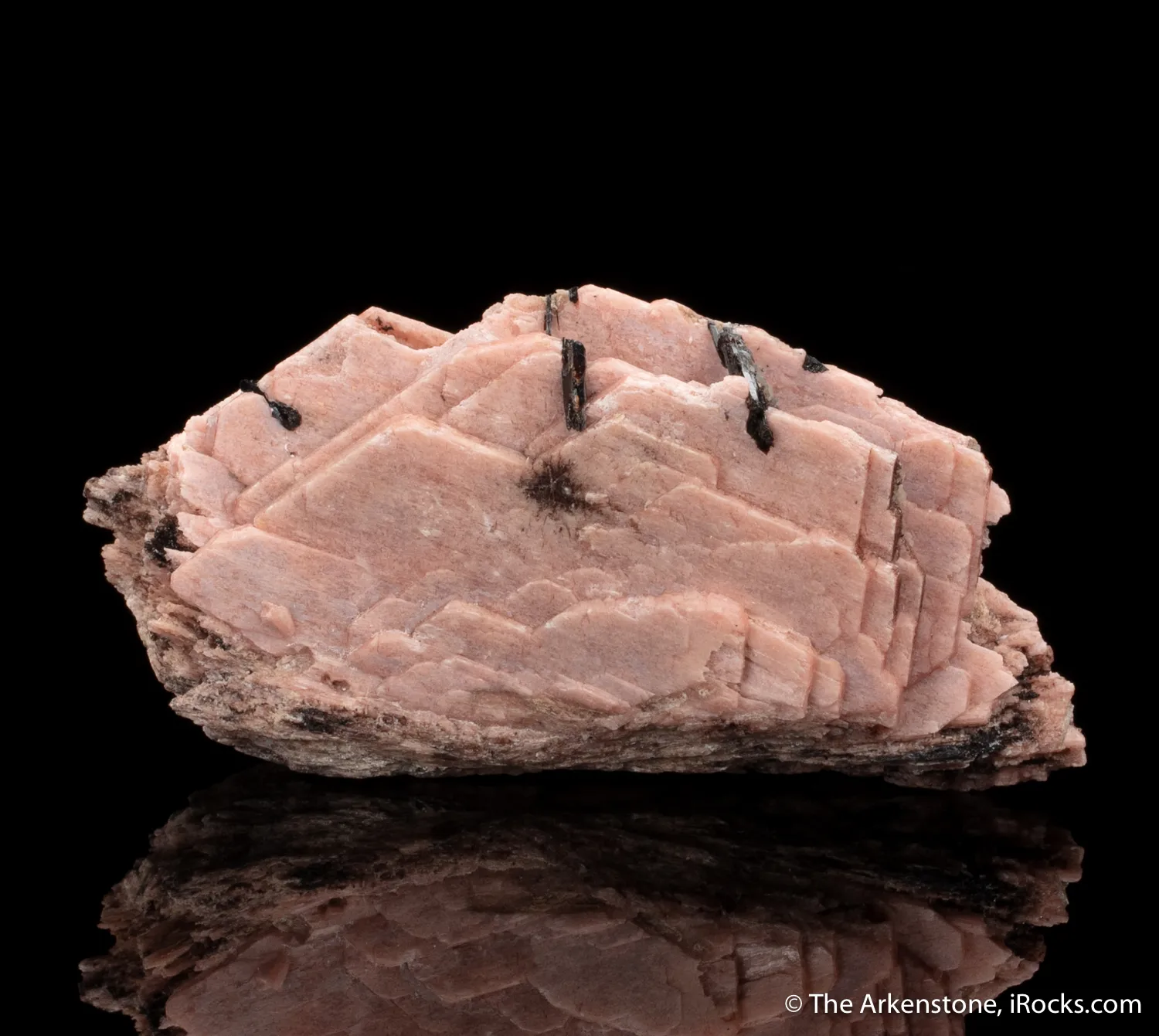 Schizolite with Aegirine - image 1