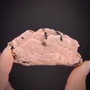 Schizolite with Aegirine - image 2