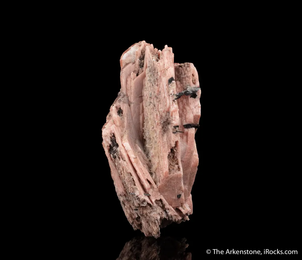 Schizolite with Aegirine - image 4