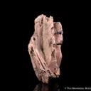 Schizolite with Aegirine - image 4