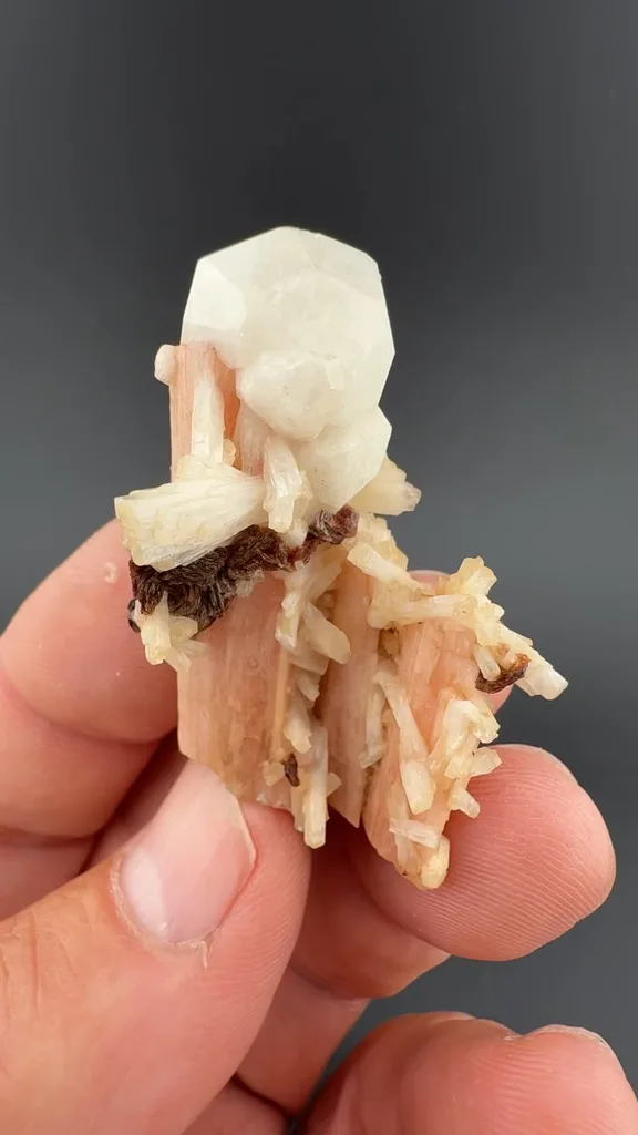 Schizolite with Analcime, Rhodochrosite - image 2