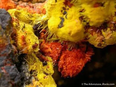 Schoepite, Curite on Uraninite - image 2