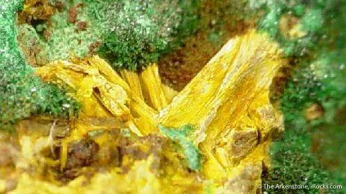 Schoepite on Cuprosklodowskite - image 3