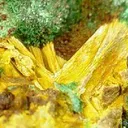 Schoepite on Cuprosklodowskite - image 3