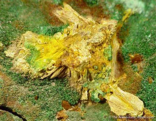 Schoepite on Cuprosklodowskite - image 2