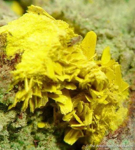 Schoepite Pseudo. After Rutherfordine - image 3