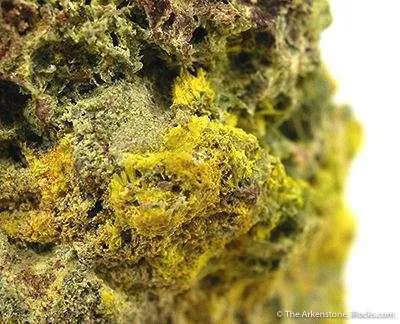 Schoepite With Rutherfordine - image 2