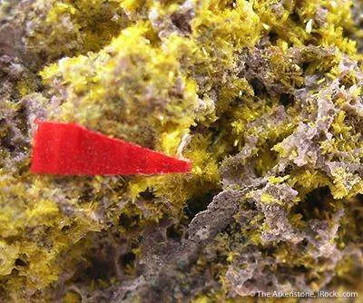 Schoepite With Rutherfordine - image 3