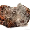 Scholzite - image 1