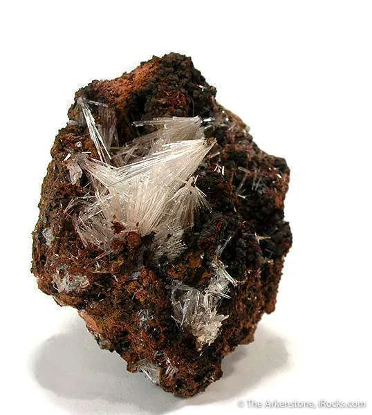 Scholzite on Switzerite image