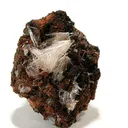 Scholzite on Switzerite - image 1