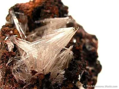 Scholzite on Switzerite - image 2