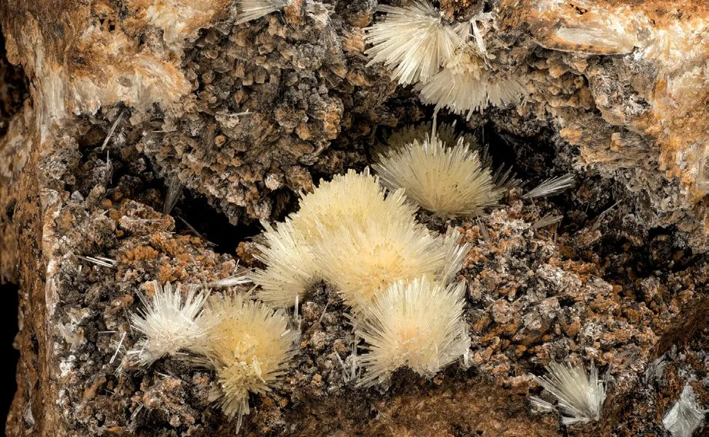 Scholzite, Parahopeite image
