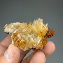 Scholzite with Collinsite, Switzerite - image 2