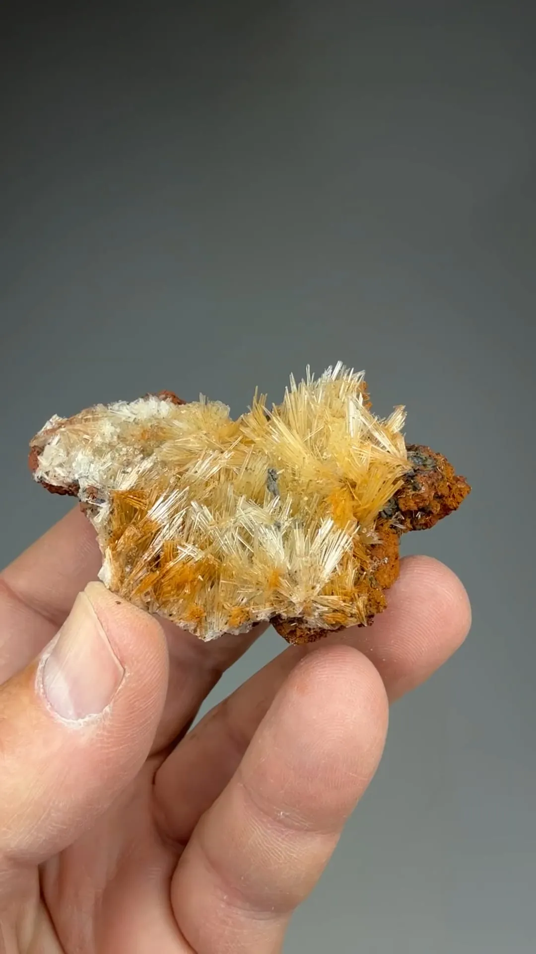 Scholzite with Collinsite, Switzerite - image 2