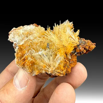 Scholzite with Collinsite, Switzerite