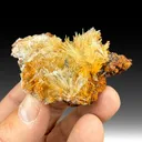 Scholzite with Collinsite, Switzerite - image 1