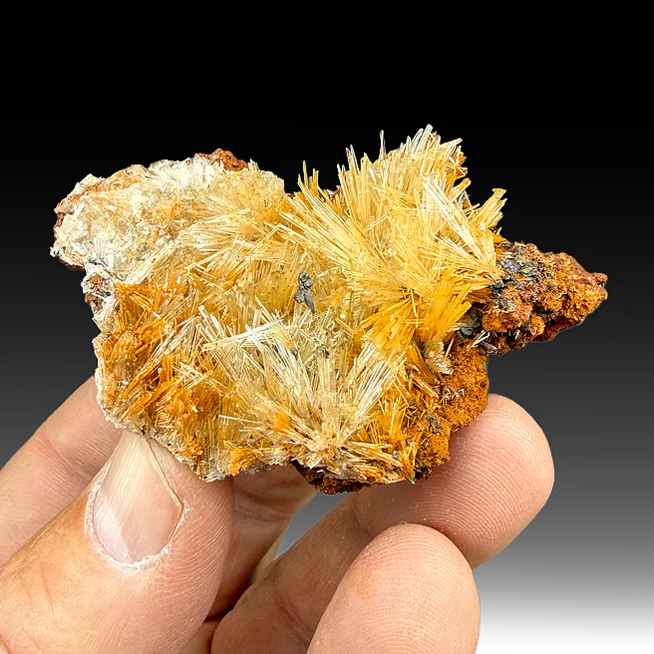 Scholzite with Collinsite, Switzerite - image 1