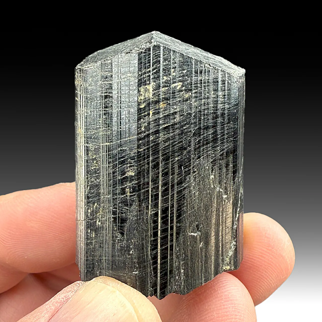 Schorl (189) - image 1