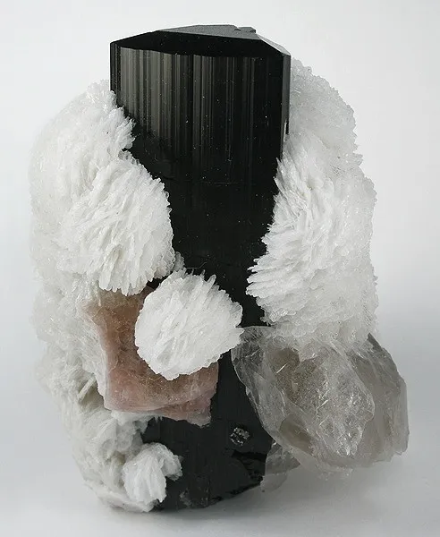 Schorl, Albite (Var: Cleavelandite), Apatite-(Caf), Quartz image