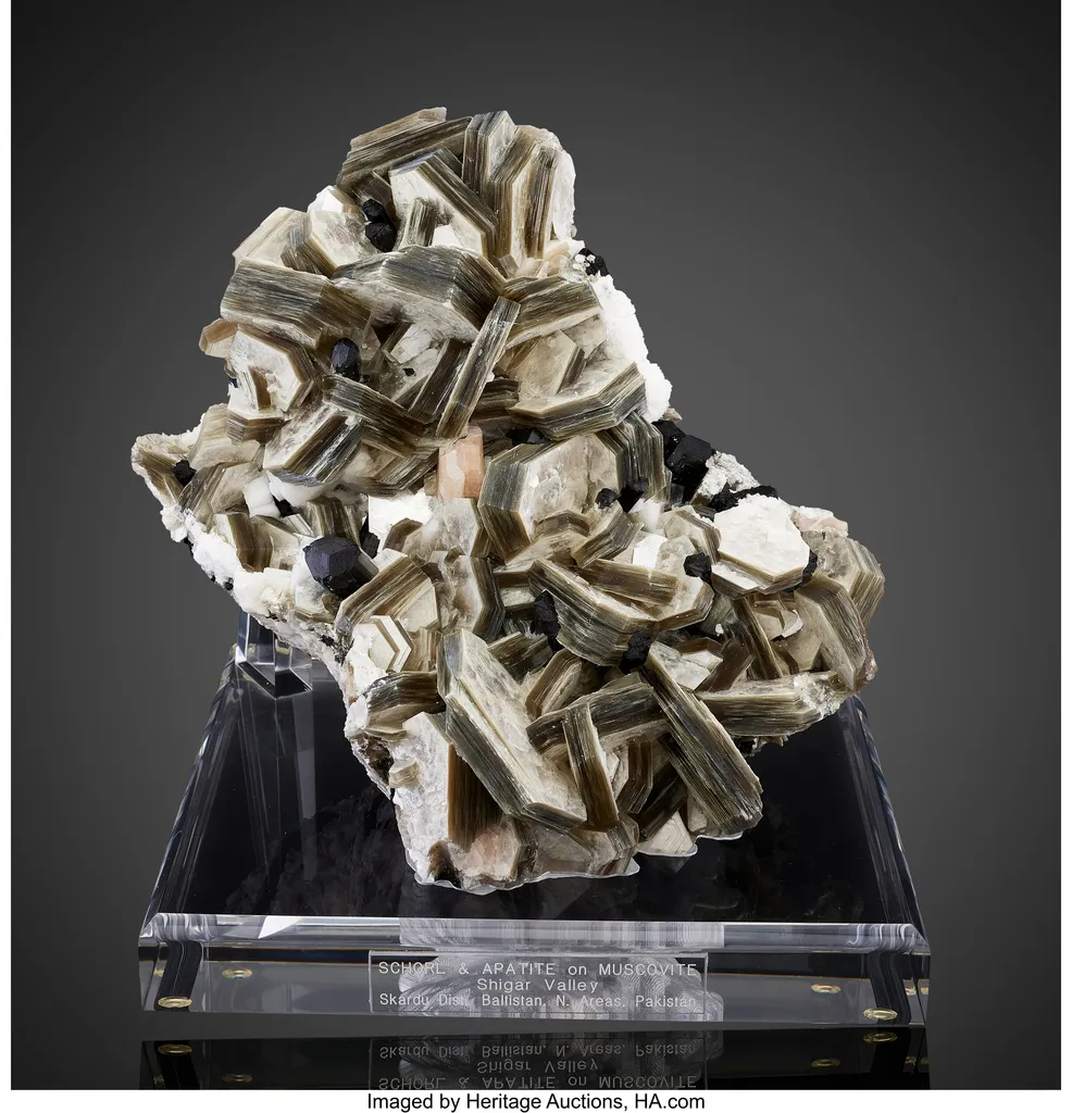 Schorl and Apatite on Muscovite image