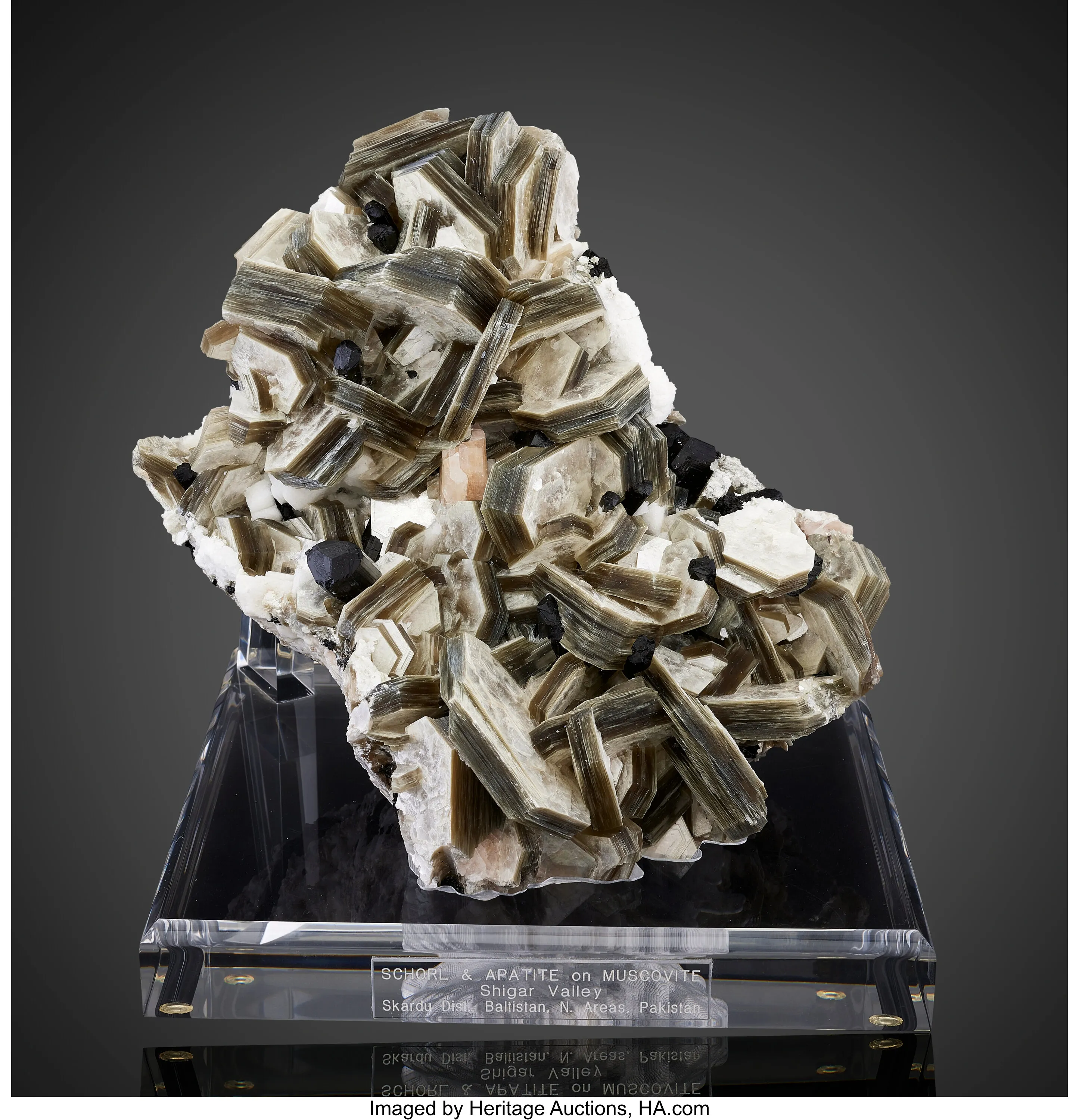 Schorl and Apatite on Muscovite - image 1