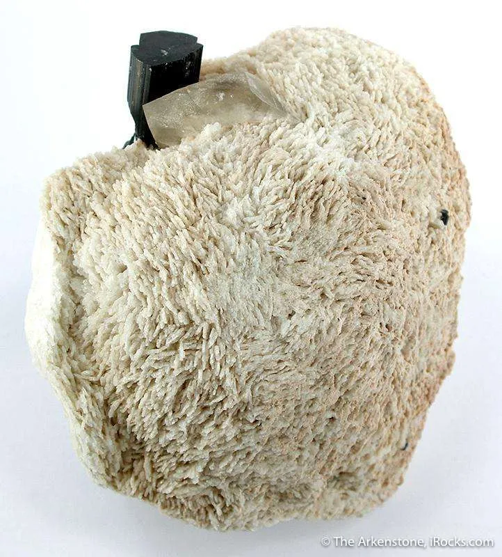 Schorl and Quartz in Albite image