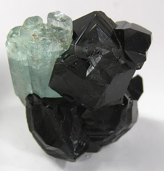 Schorl, Beryl (Var: Aquamarine) image