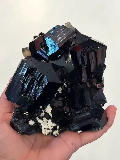 specimen video